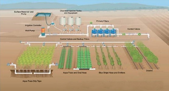农业灌排结构图