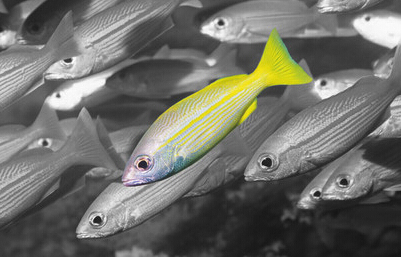  2016年充电桩新国标开始实施，四信通信助你脱颖而出！